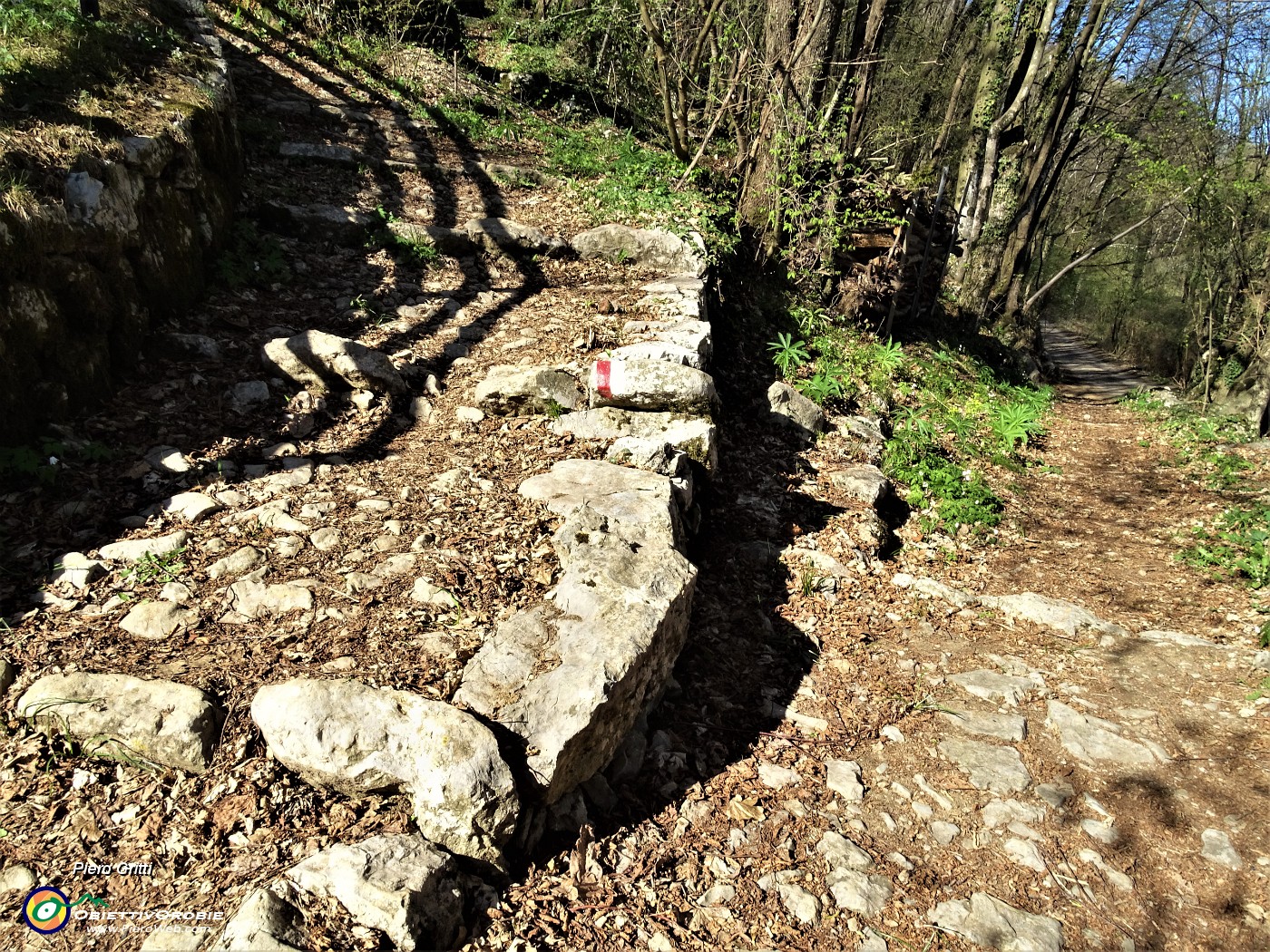 38 Seguendo la stradetta agrosilvopastorale raggiungo e imbocco la partenza del sent- 504.JPG